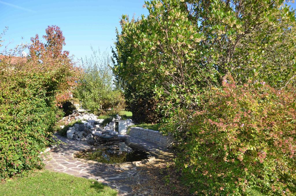 Melograno Mc Bed & Breakfast Rubano
